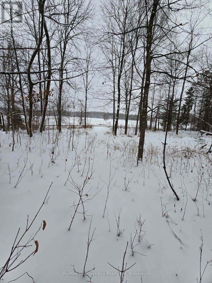 1666 BALKWILL LINE — Severn (Coldwater), Ontario - Photo 3 of 35