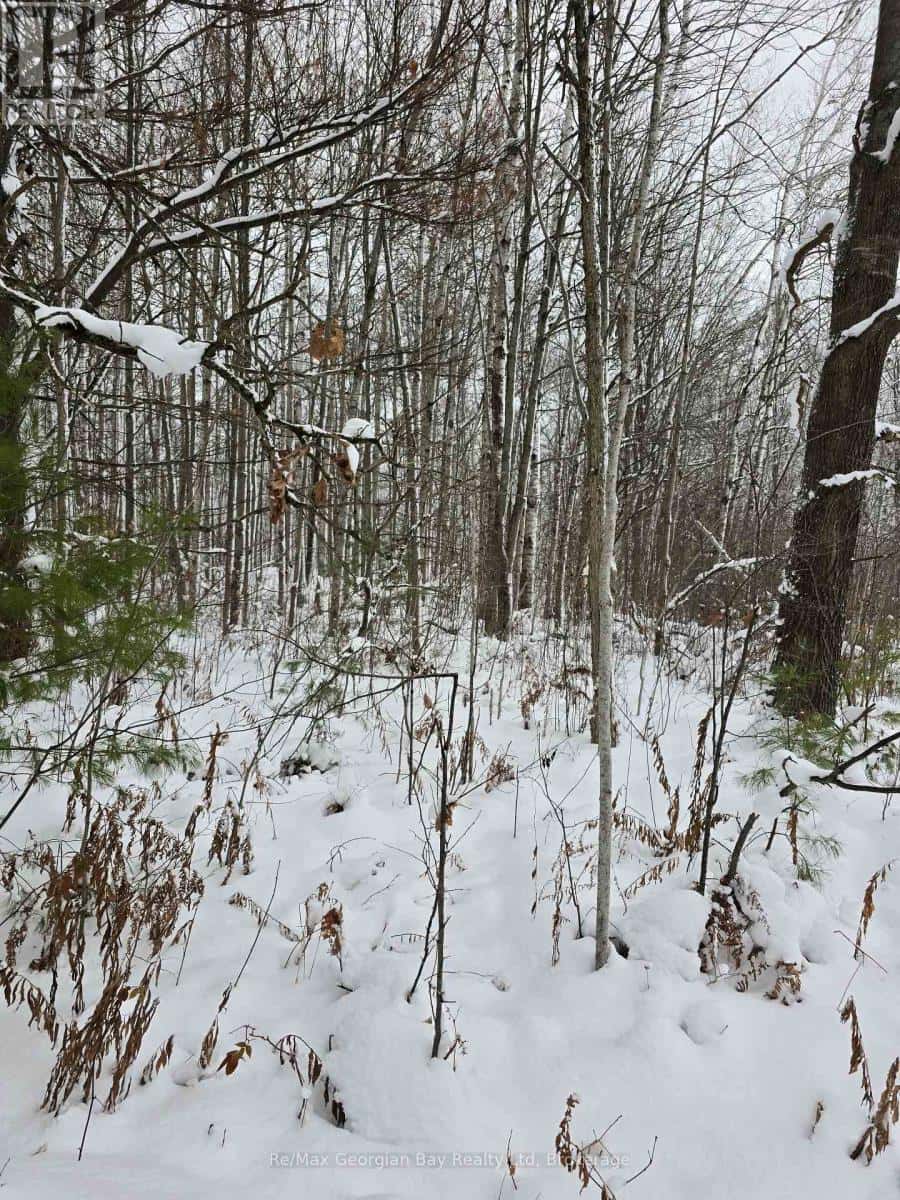 1666 BALKWILL LINE — Severn (Coldwater), Ontario - Photo 4 of 35