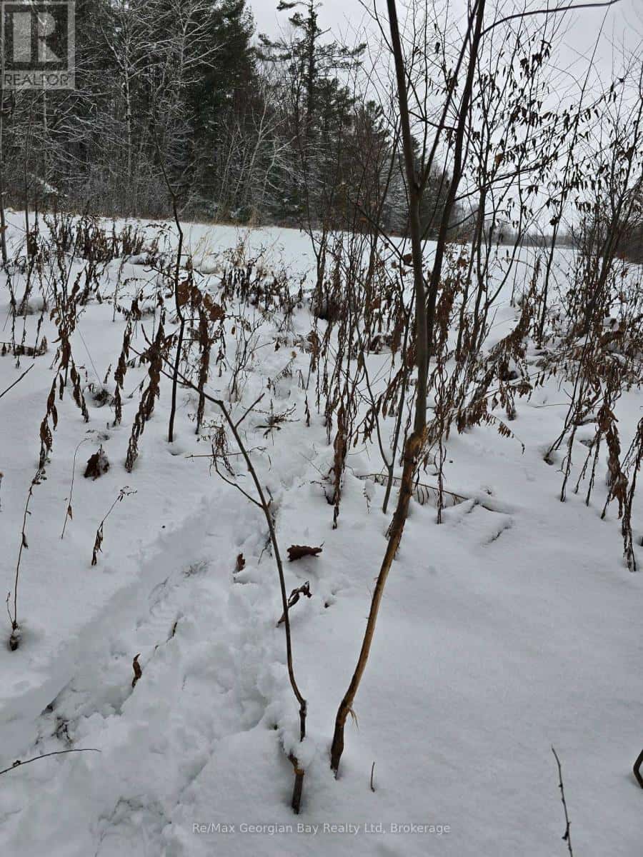 1666 BALKWILL LINE — Severn (Coldwater), Ontario - Photo 5 of 35