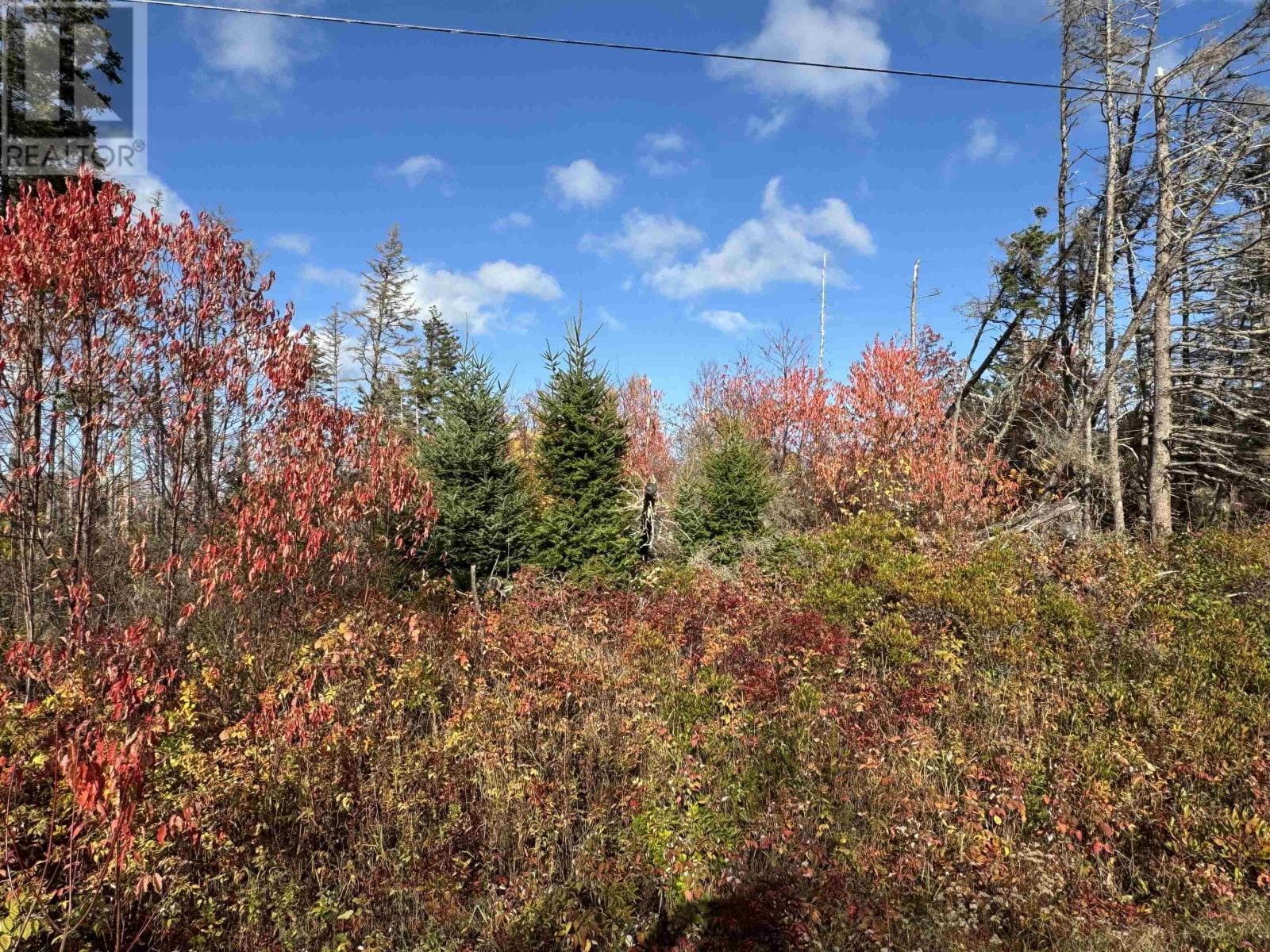 Lot Willow Lane — Priest Pond, Prince Edward Island - Main photo