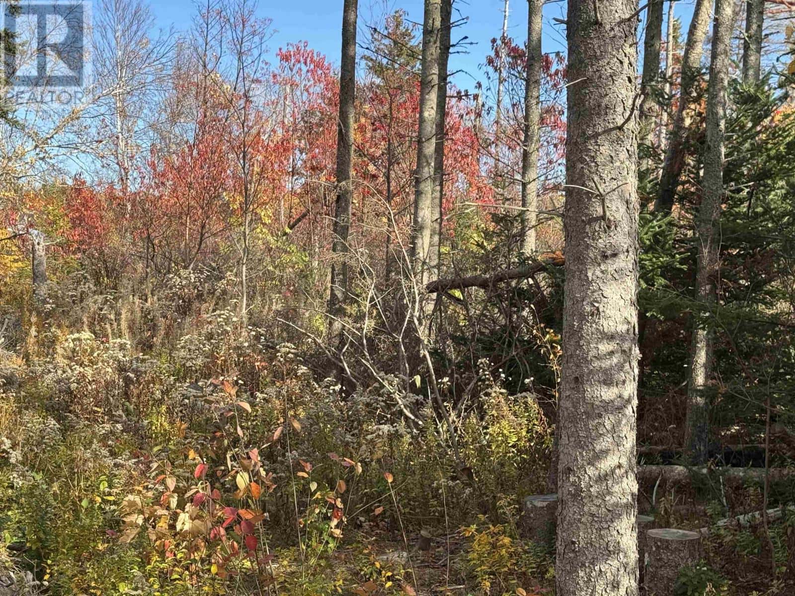 Lot Willow Lane — Priest Pond, Prince Edward Island - Photo 2 of 6