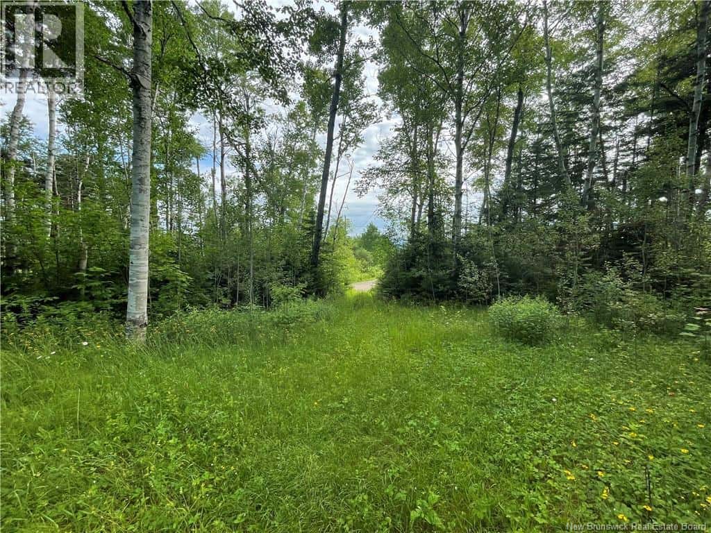 755 Cape Road — Newburg, New Brunswick - Photo 2 of 12