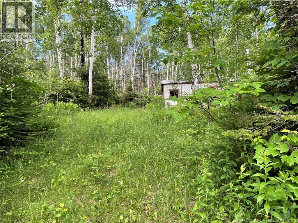 755 Cape Road — Newburg, New Brunswick - Photo 4 of 12