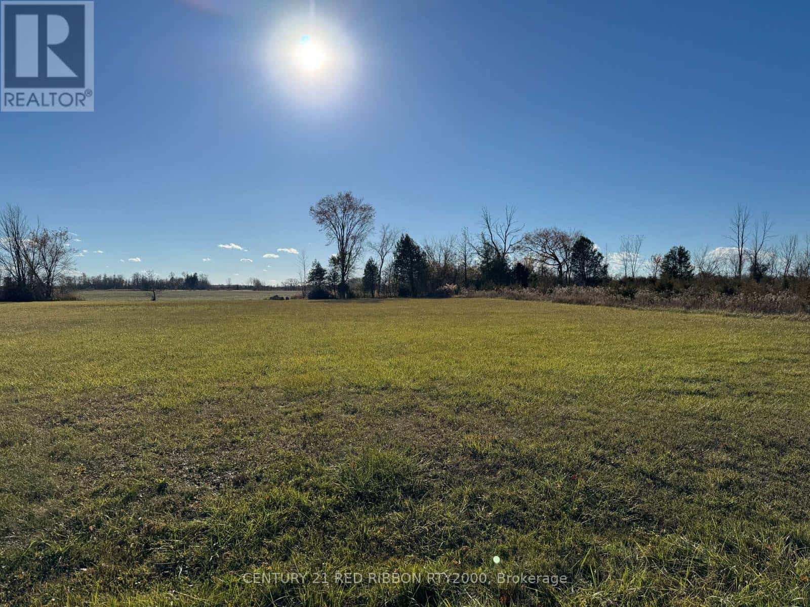 8603 VANCE DRIVE — Lambton Shores (Forest), Ontario - Photo 2 of 7