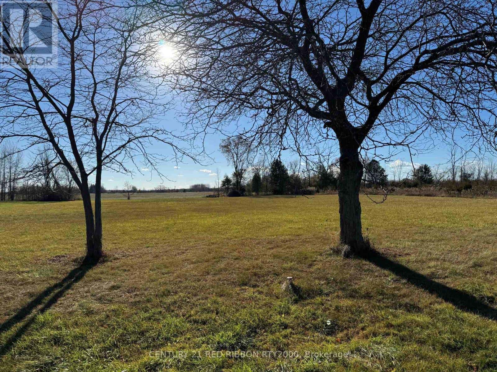 8603 VANCE DRIVE — Lambton Shores (Forest), Ontario - Photo 4 of 7