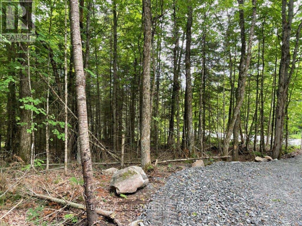 1350 HALIBURTON LAKE RD — Dysart et al (Dysart), Ontario - Photo 2 of 14