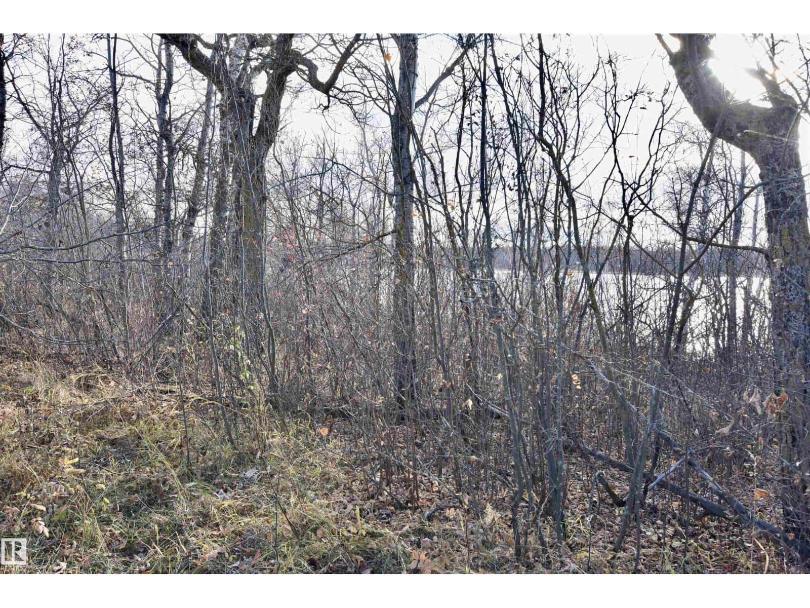 TWP RD 574 RR 93 — Rural St. Paul County, Alberta - Photo 5 of 7