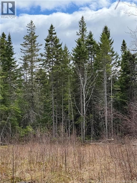 land Route 515 — Saint-Paul, New Brunswick - Main photo