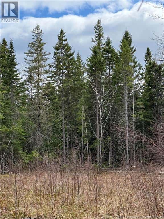 land Route 515 — Saint-Paul, New Brunswick - Photo 3 of 7