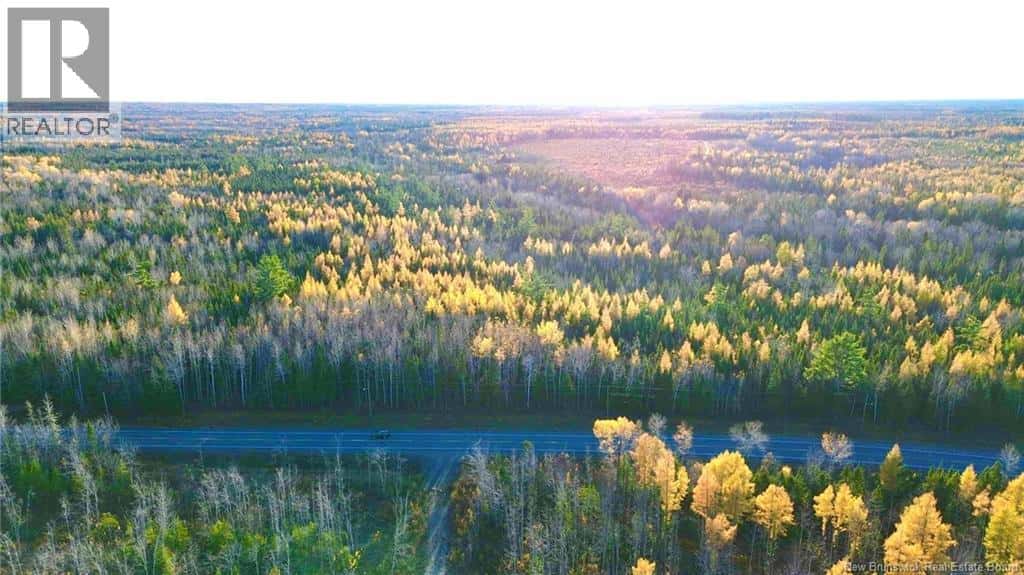 Subdivision LOT-B Route 126 — Collette, New Brunswick - Photo 4 of 7