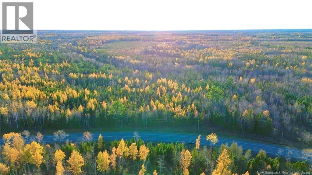 Subdivision LOT-B Route 126 — Collette, New Brunswick - Photo 5 of 7