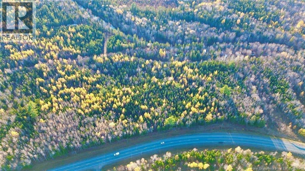 Subdivision LOT-C Route 126 — Collette, New Brunswick - Photo 5 of 7