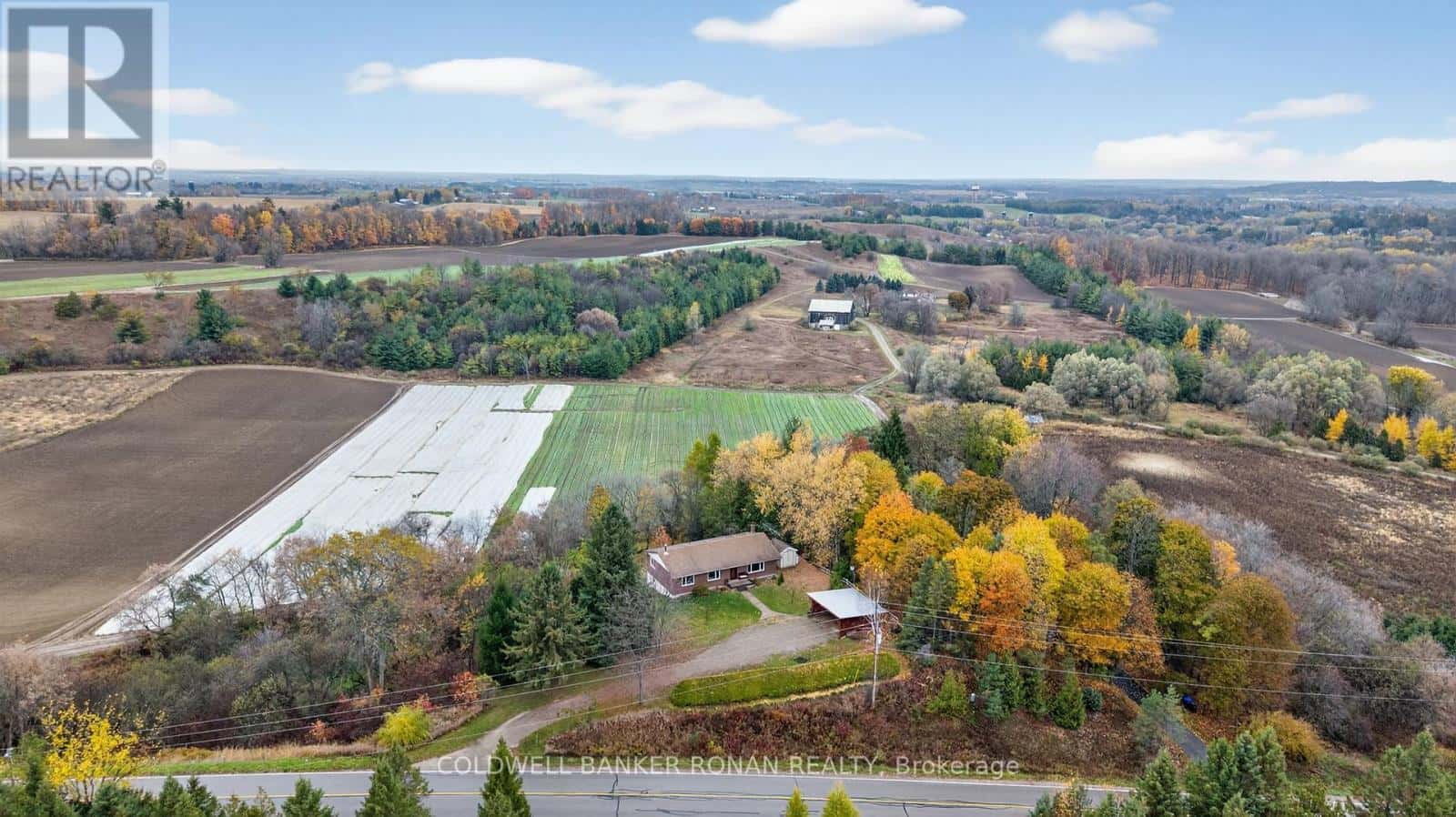 6976 2ND LINE — New Tecumseth, Ontario - Photo 3 of 31