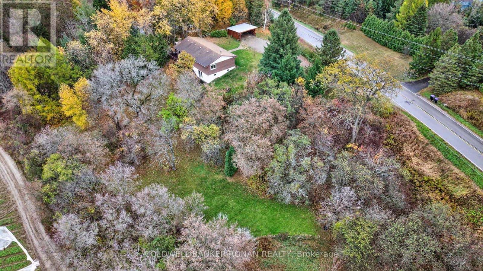 6976 2ND LINE — New Tecumseth, Ontario - Photo 4 of 31