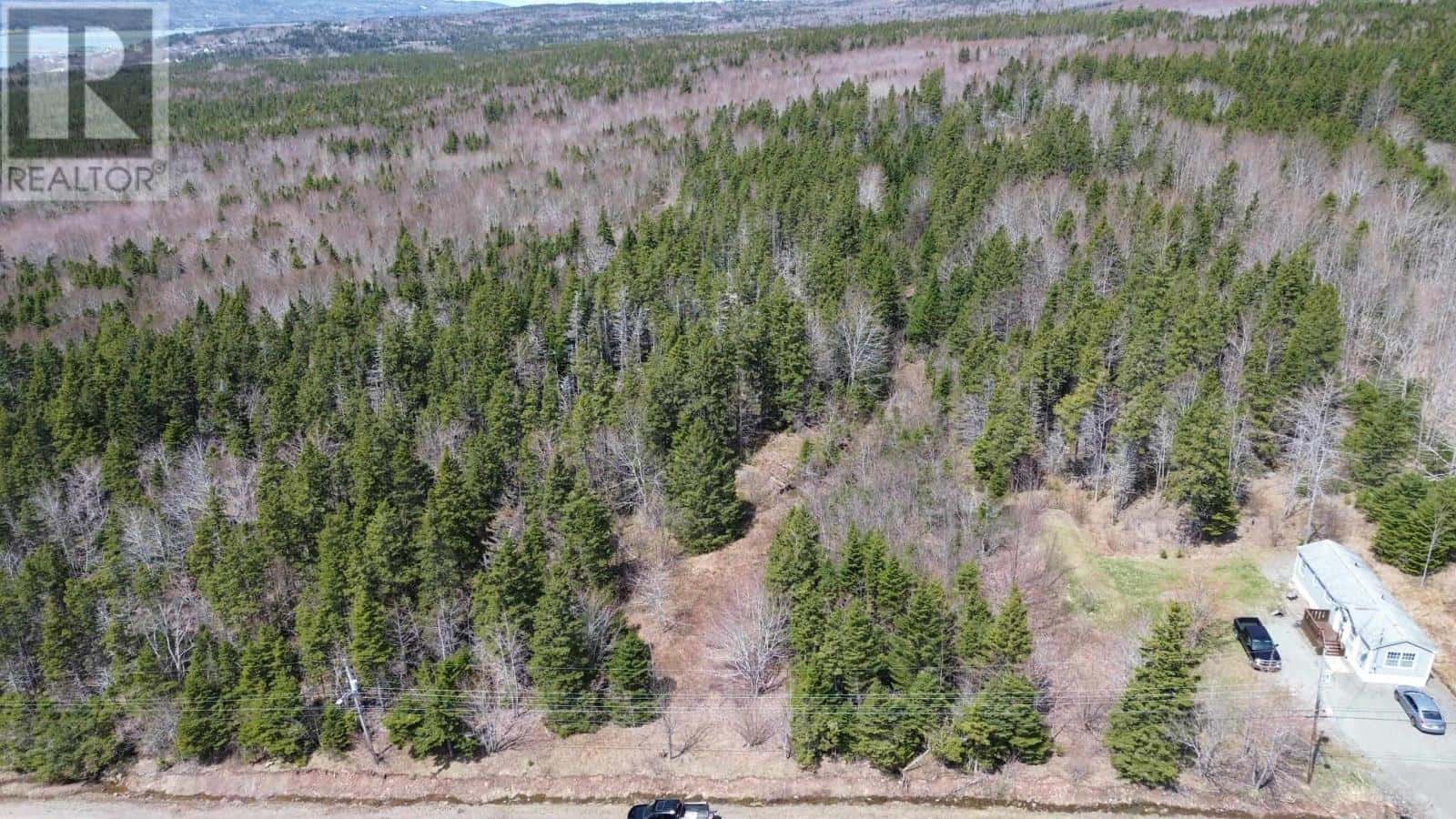 LOT David Street — Port Hastings, Nova Scotia - Photo 4 of 10