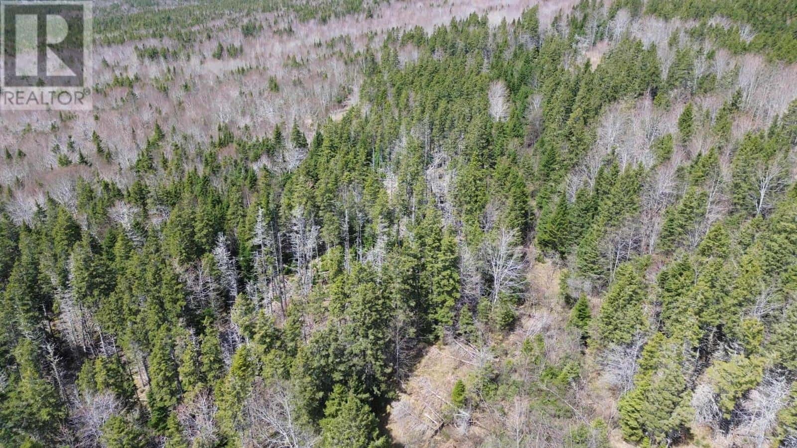 LOT David Street — Port Hastings, Nova Scotia - Photo 3 of 10