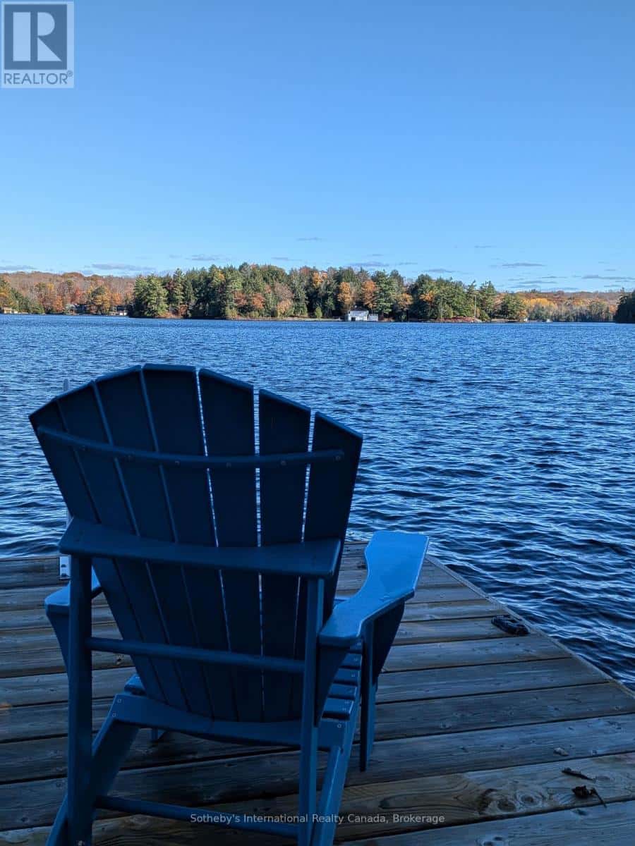 1063 WHITESIDE ROAD — Muskoka Lakes (Medora), Ontario - Photo 2 of 46