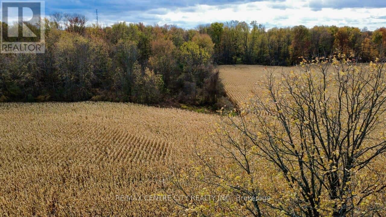 50589 DINGLE LINE — Malahide, Ontario - Photo 3 of 47