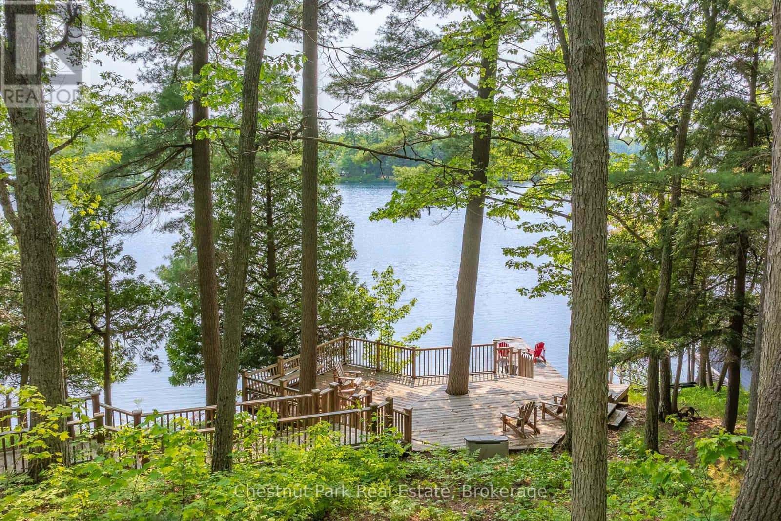 1143 LEONARD LAKE 1 ROAD — Muskoka Lakes (Monck (Muskoka Lakes)), Ontario - Photo 3 of 46