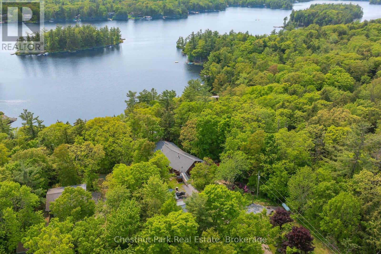 1143 LEONARD LAKE 1 ROAD — Muskoka Lakes (Monck (Muskoka Lakes)), Ontario - Photo 4 of 46