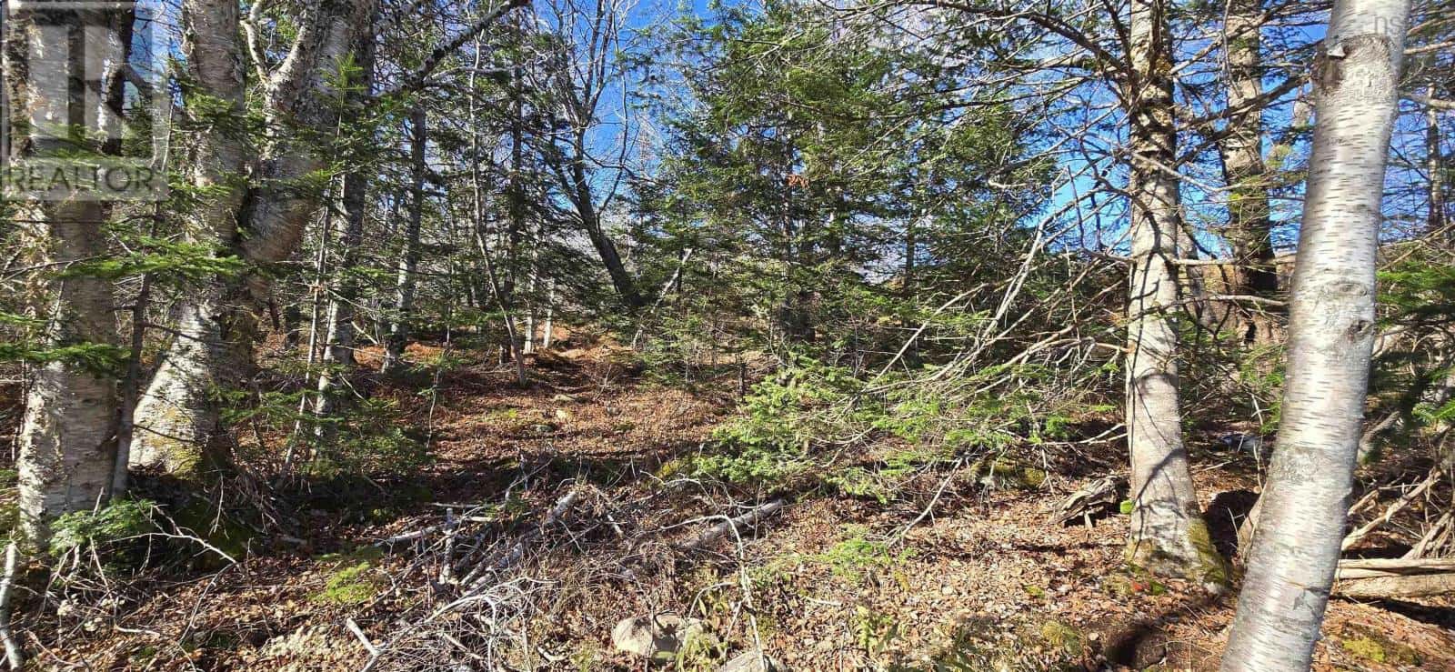 Lots R1 & R2 Beamish Road — Mount Uniacke, Nova Scotia - Photo 5 of 14