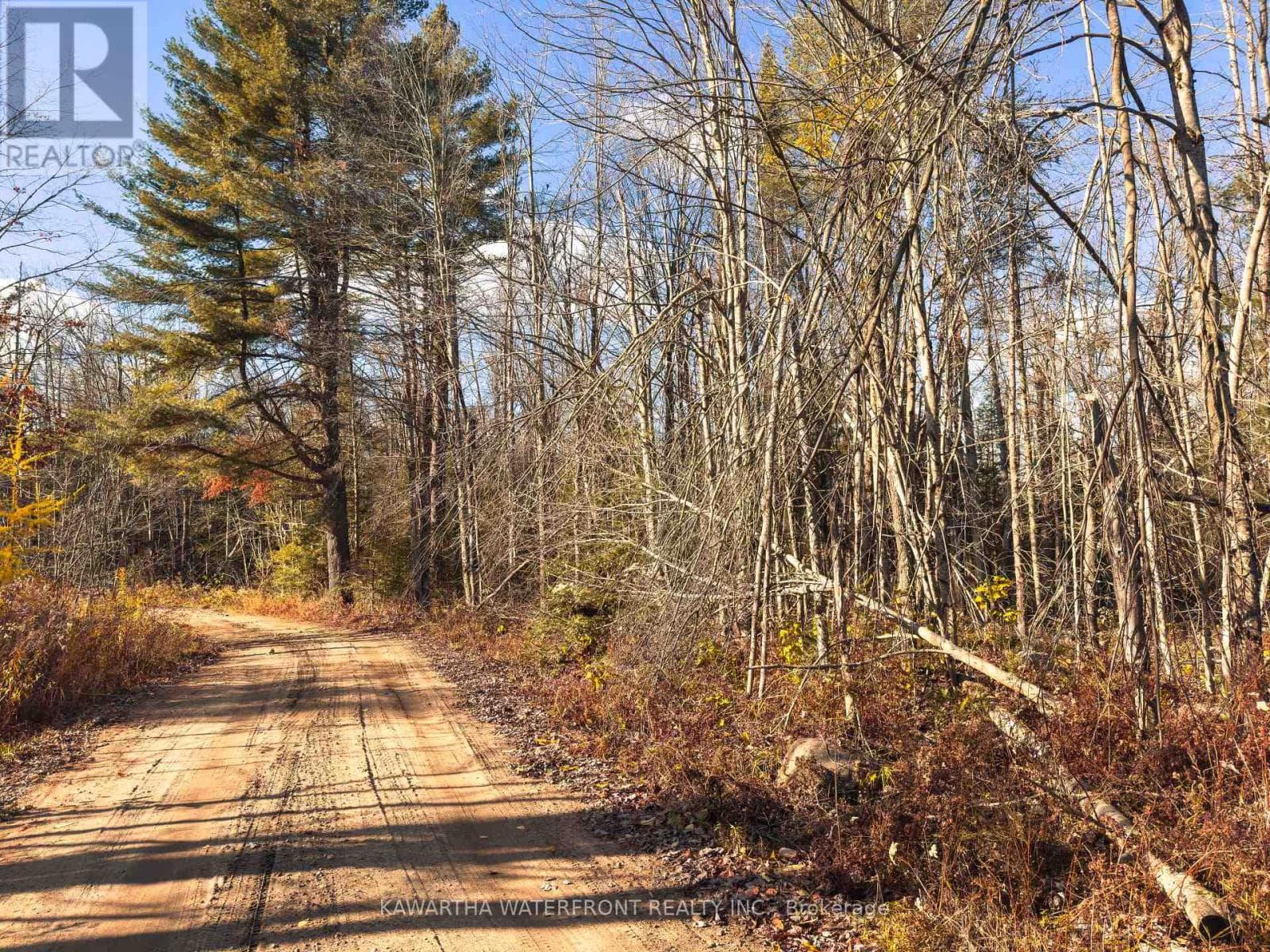 0 WEISMULLER LANE — Bracebridge (Draper), Ontario - Main photo