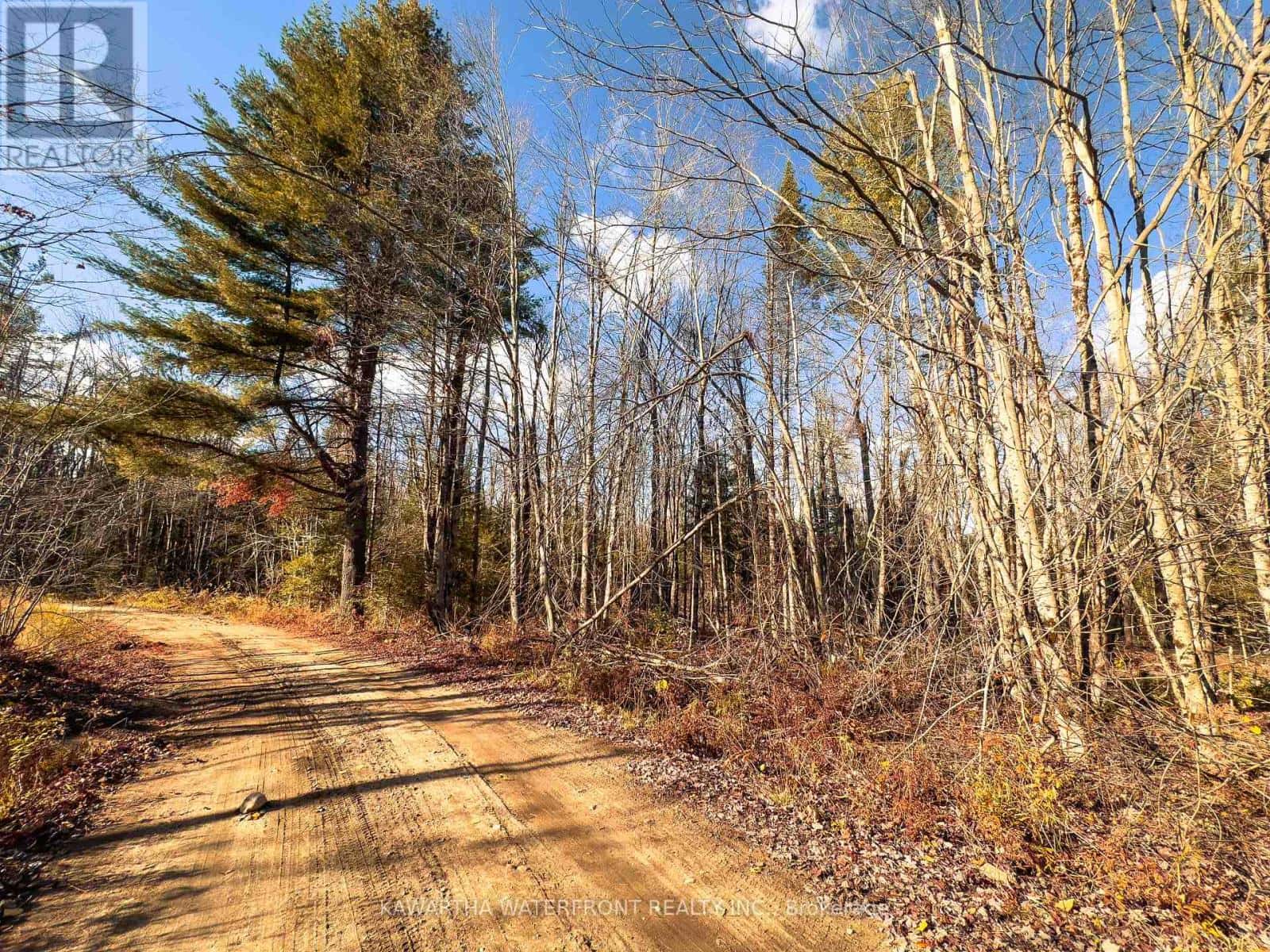 0 WEISMULLER LANE — Bracebridge (Draper), Ontario - Photo 2 of 18