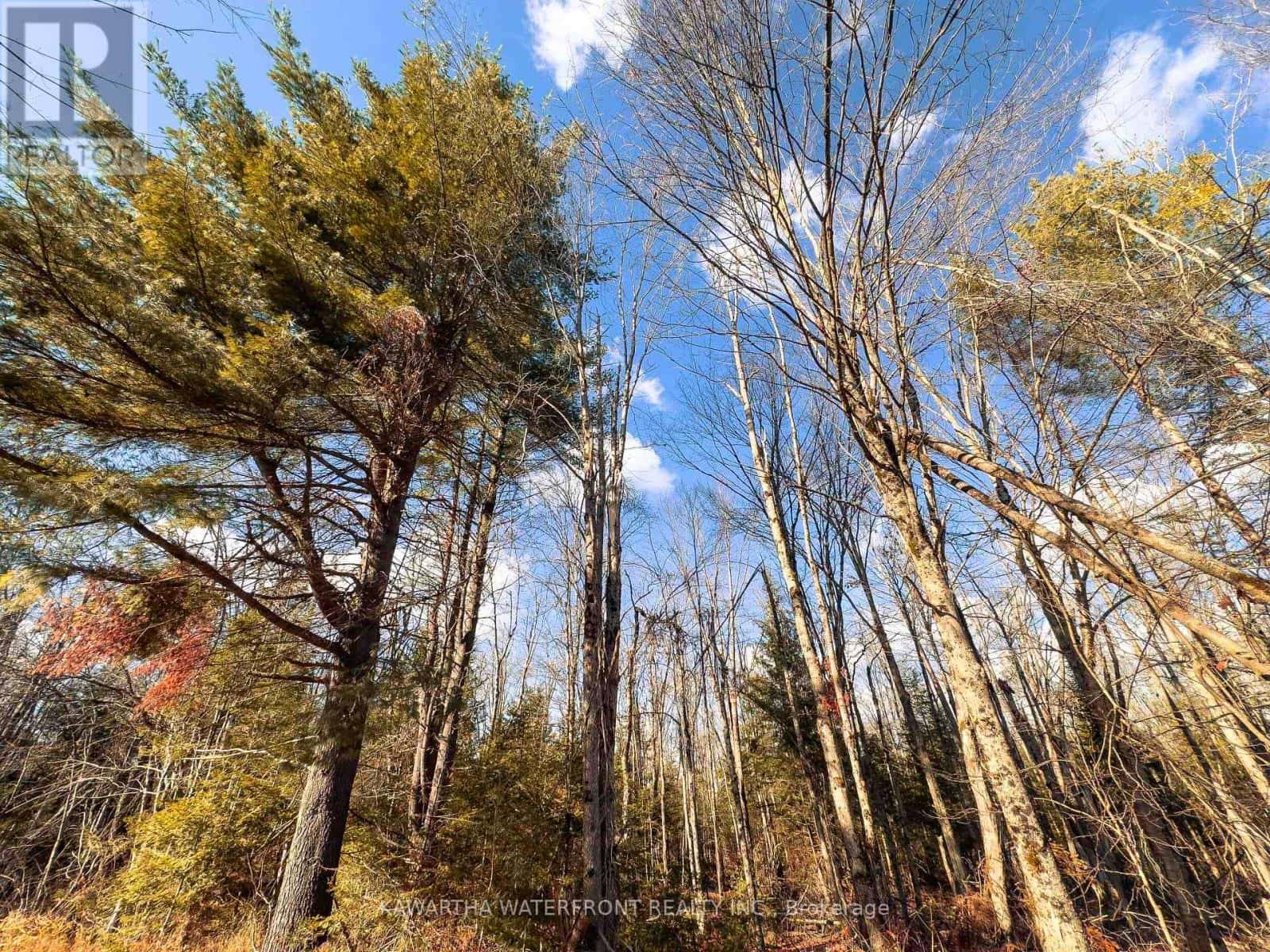 0 WEISMULLER LANE — Bracebridge (Draper), Ontario - Photo 3 of 18