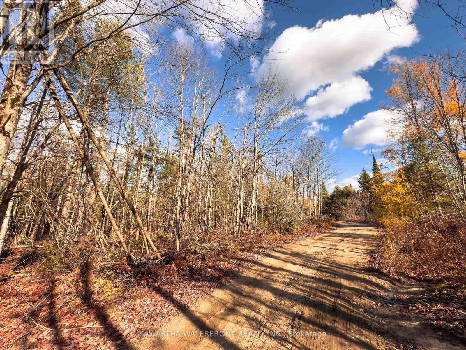 0 WEISMULLER LANE — Bracebridge (Draper), Ontario - Photo 4 of 18