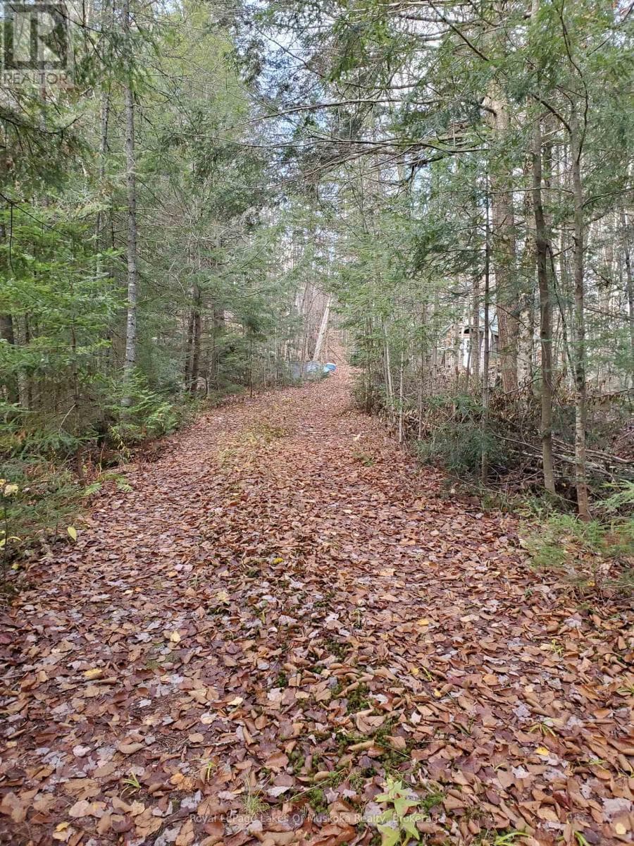 00000 RIL LAKE ROAD — Lake of Bays (Ridout), Ontario - Main photo