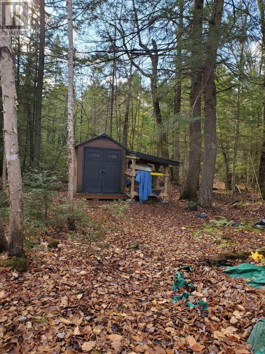 00000 RIL LAKE ROAD — Lake of Bays (Ridout), Ontario - Photo 3 of 5