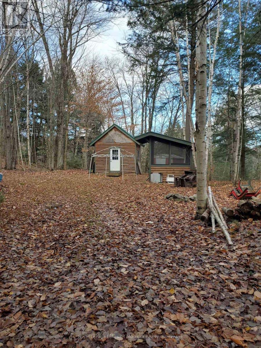 00000 RIL LAKE ROAD — Lake of Bays (Ridout), Ontario - Photo 4 of 5