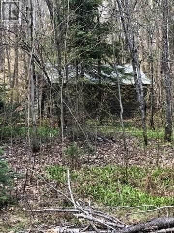 2595 ETWELL ROAD — Huntsville (Stisted), Ontario - Main photo