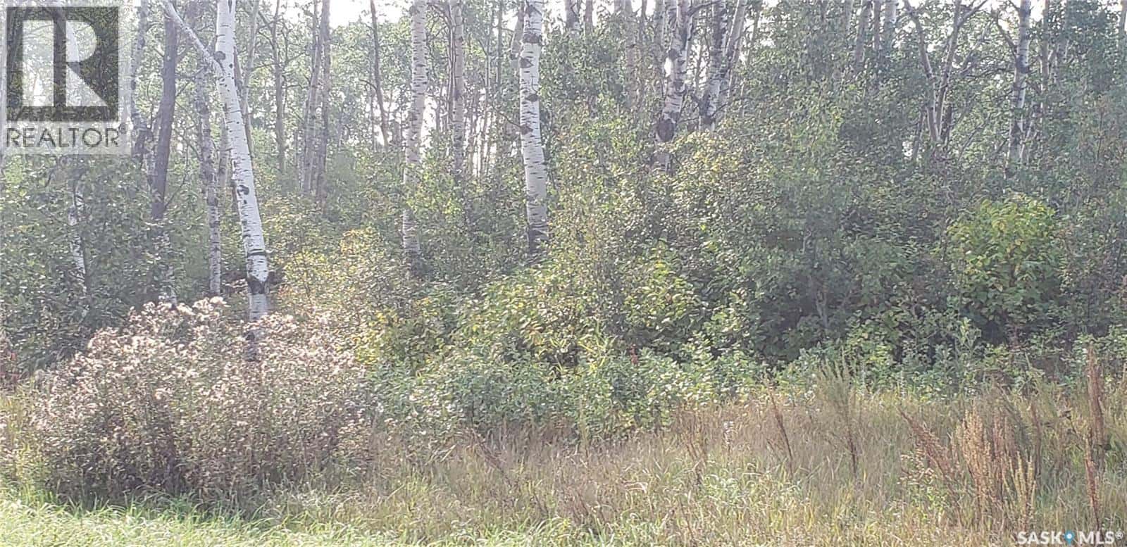 Lot 12 Whitetail Trail — Duck Lake Rm No. 463, Saskatchewan - Photo 2 of 7