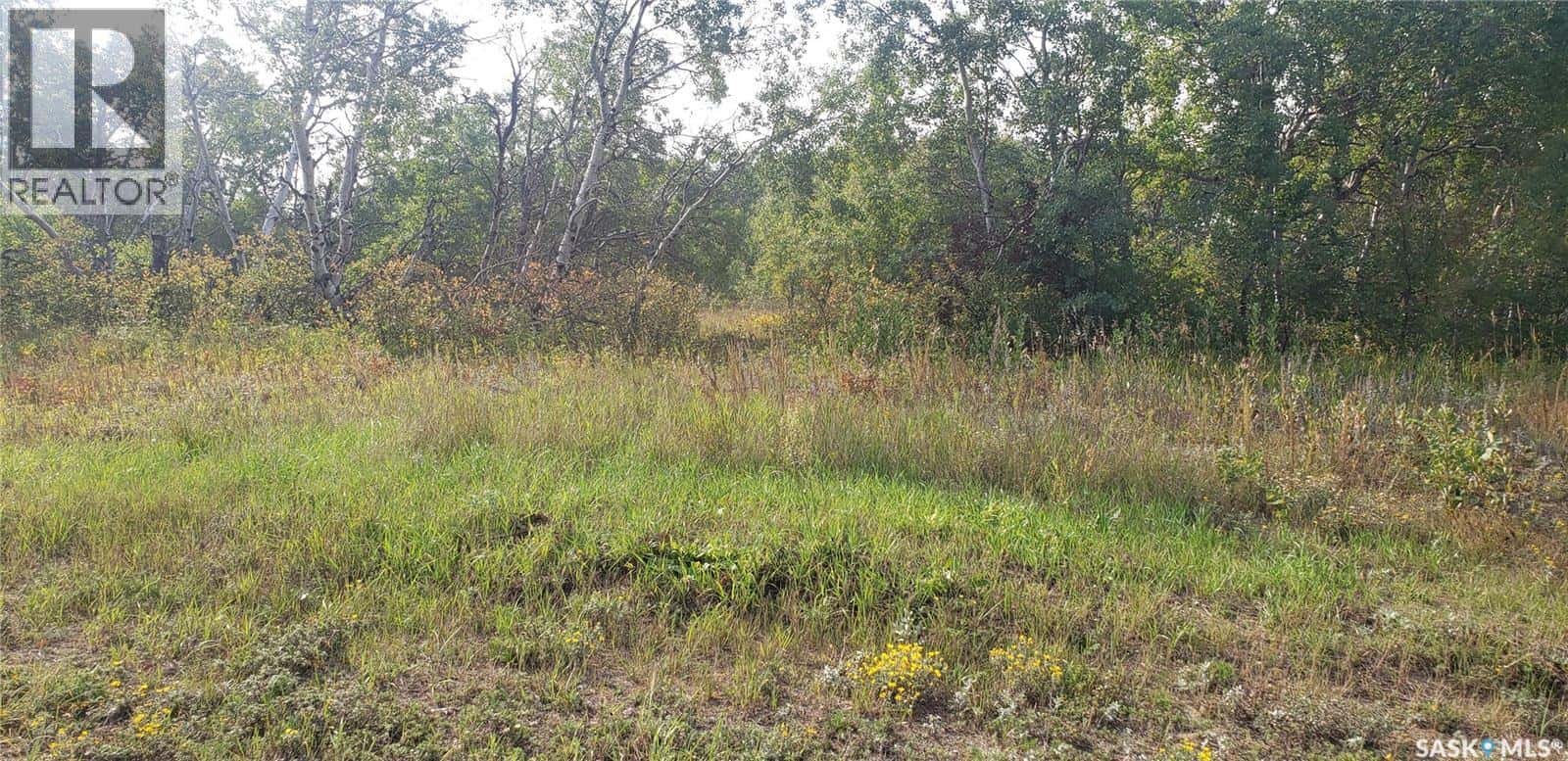 Lot 12 Whitetail Trail — Duck Lake Rm No. 463, Saskatchewan - Photo 4 of 7