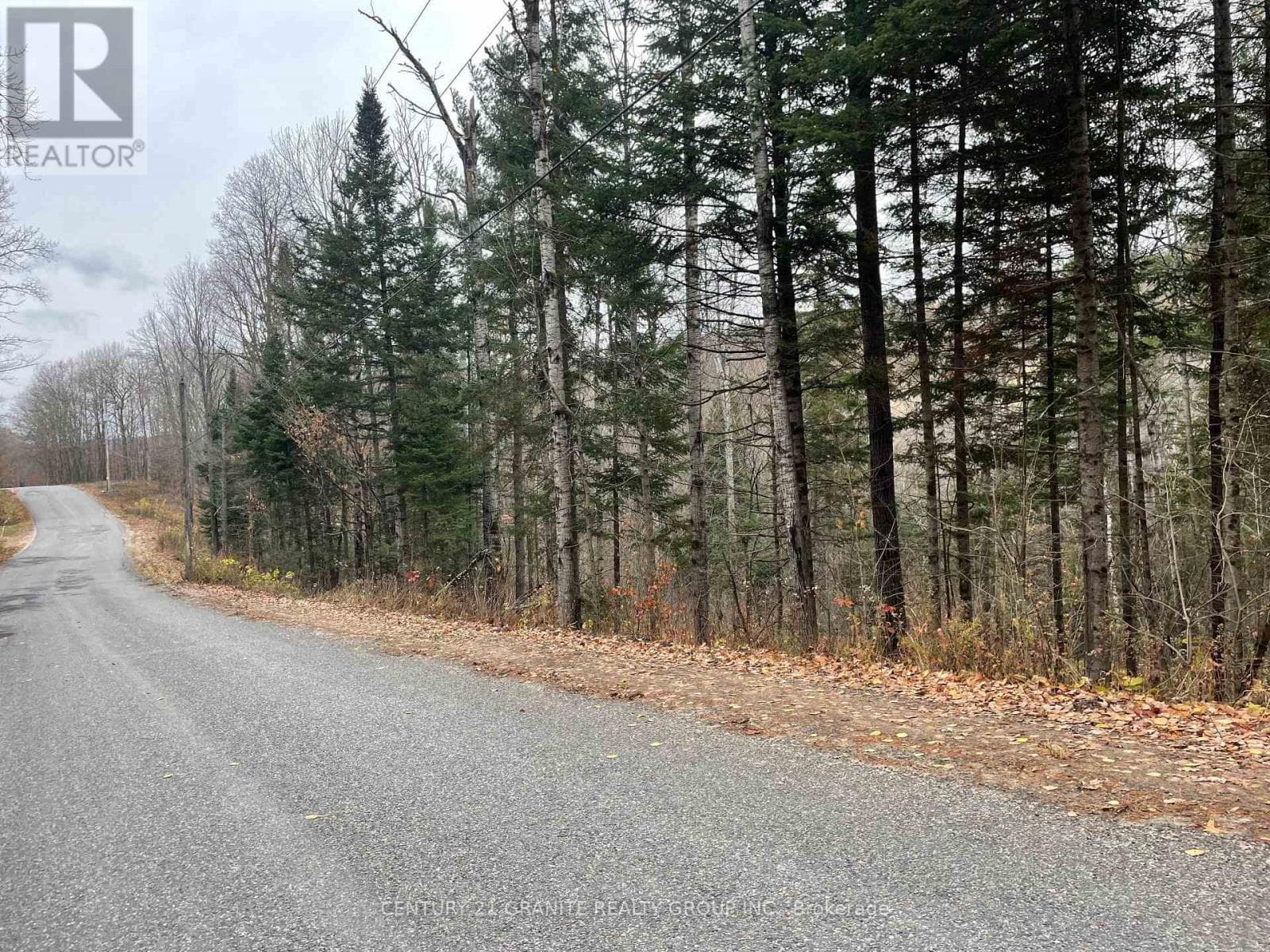 0 SNOW ROAD — Bancroft (Bancroft Ward), Ontario - Main photo