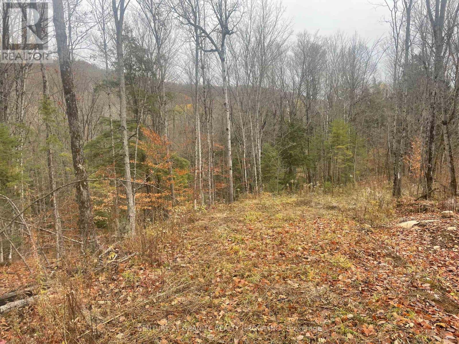 0 SNOW ROAD — Bancroft (Bancroft Ward), Ontario - Photo 3 of 8