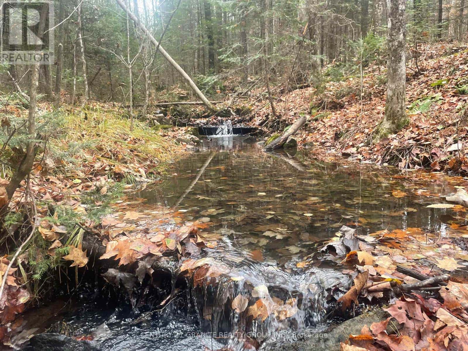0 SNOW ROAD — Bancroft (Bancroft Ward), Ontario - Photo 5 of 8