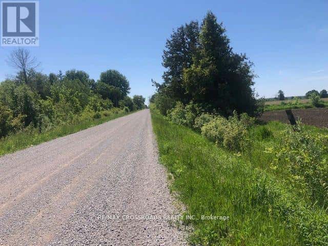 1630 THORAH CONCESSION 9 ROAD — Brock (Beaverton), Ontario - Photo 5 of 8