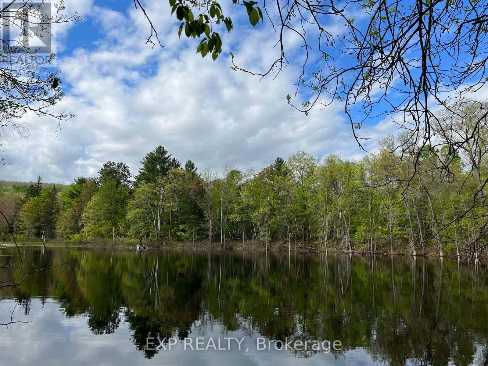 LOT 4 SANDY SHORES TRAIL — Madawaska Valley, Ontario - Photo 2 of 11