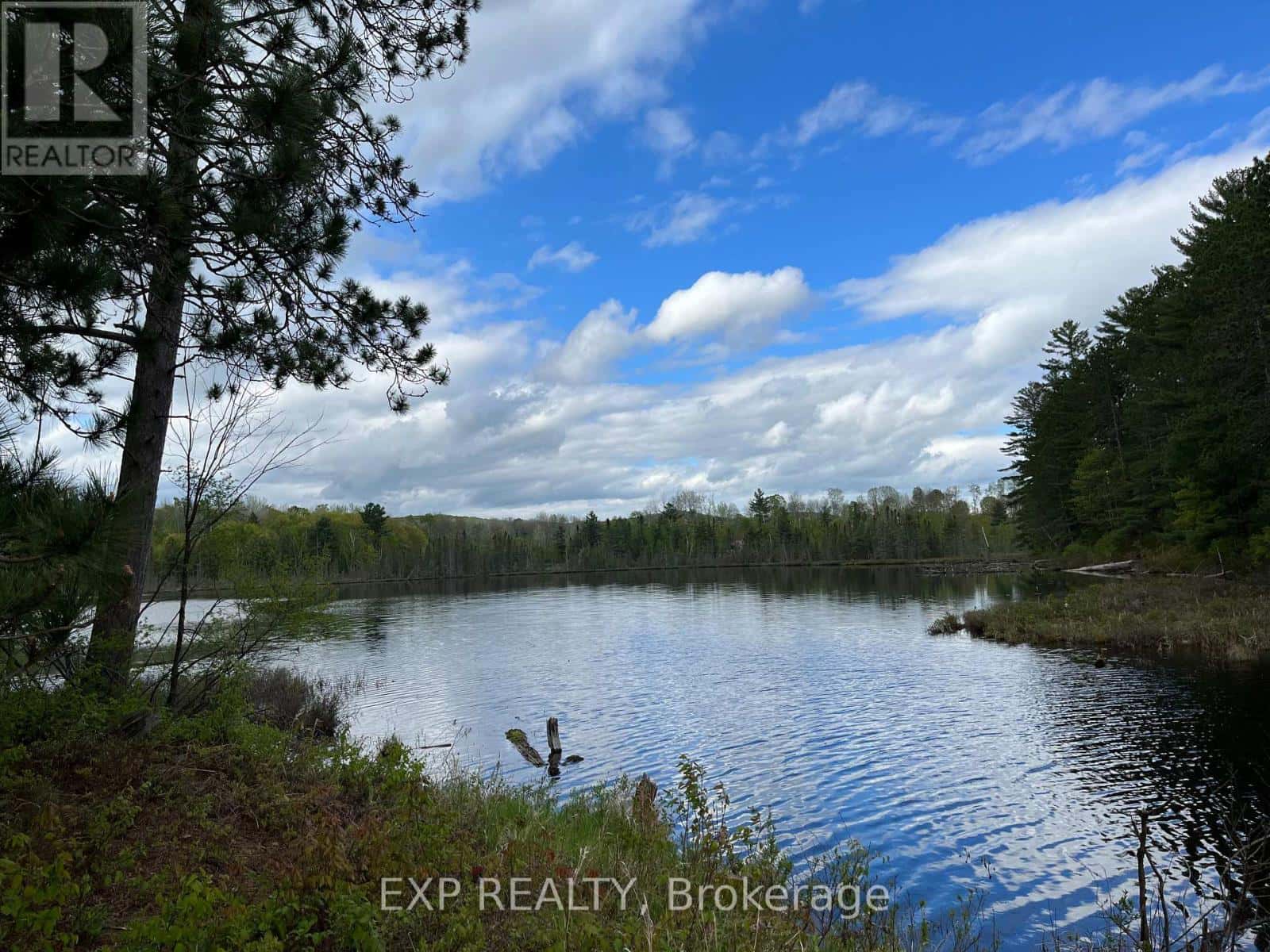 LOT 9 CASSON TRAIL — Madawaska Valley, Ontario - Photo 5 of 19