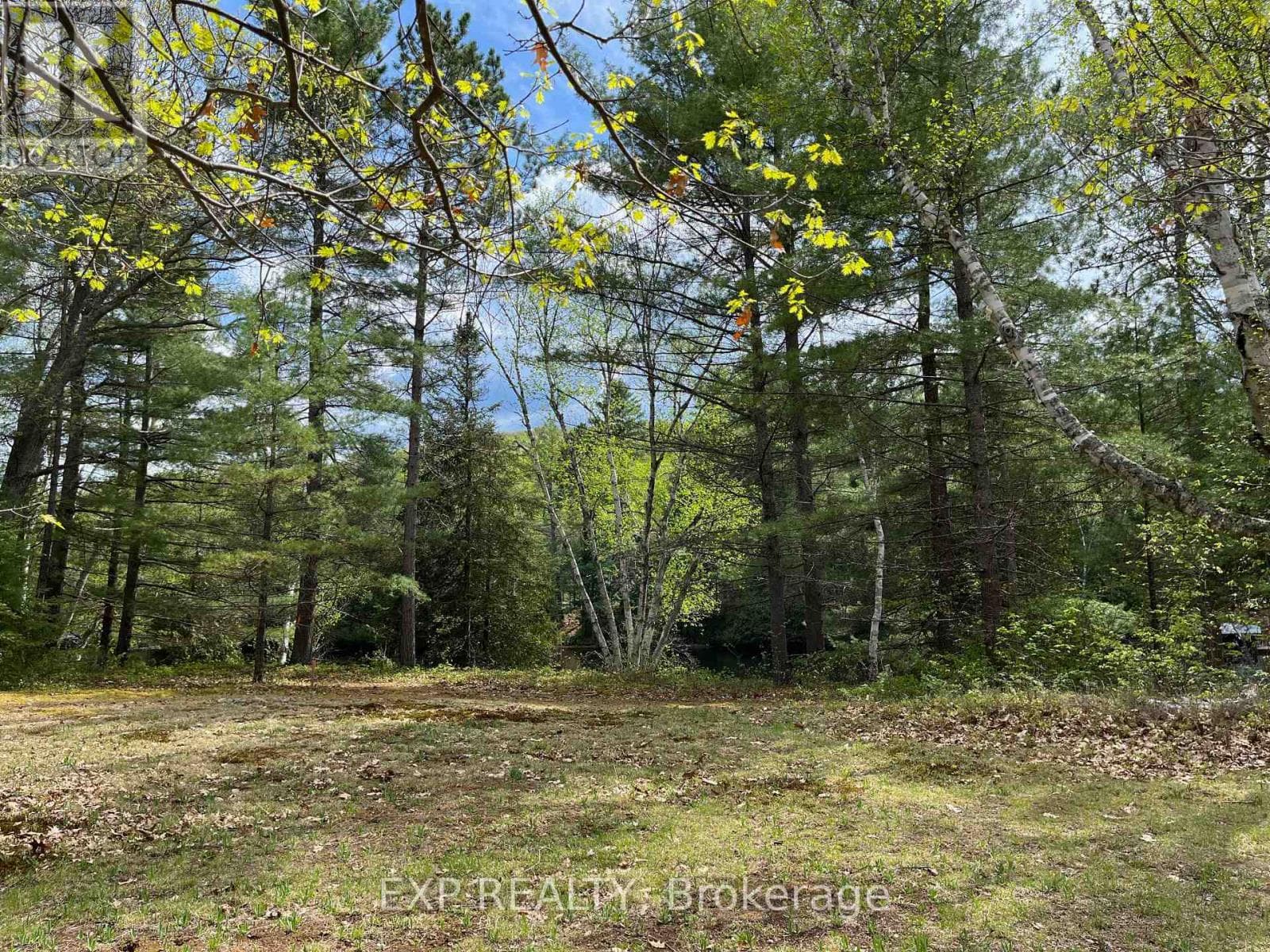 LOT 37 SANDY SHORES TRAIL — Madawaska Valley, Ontario - Main photo