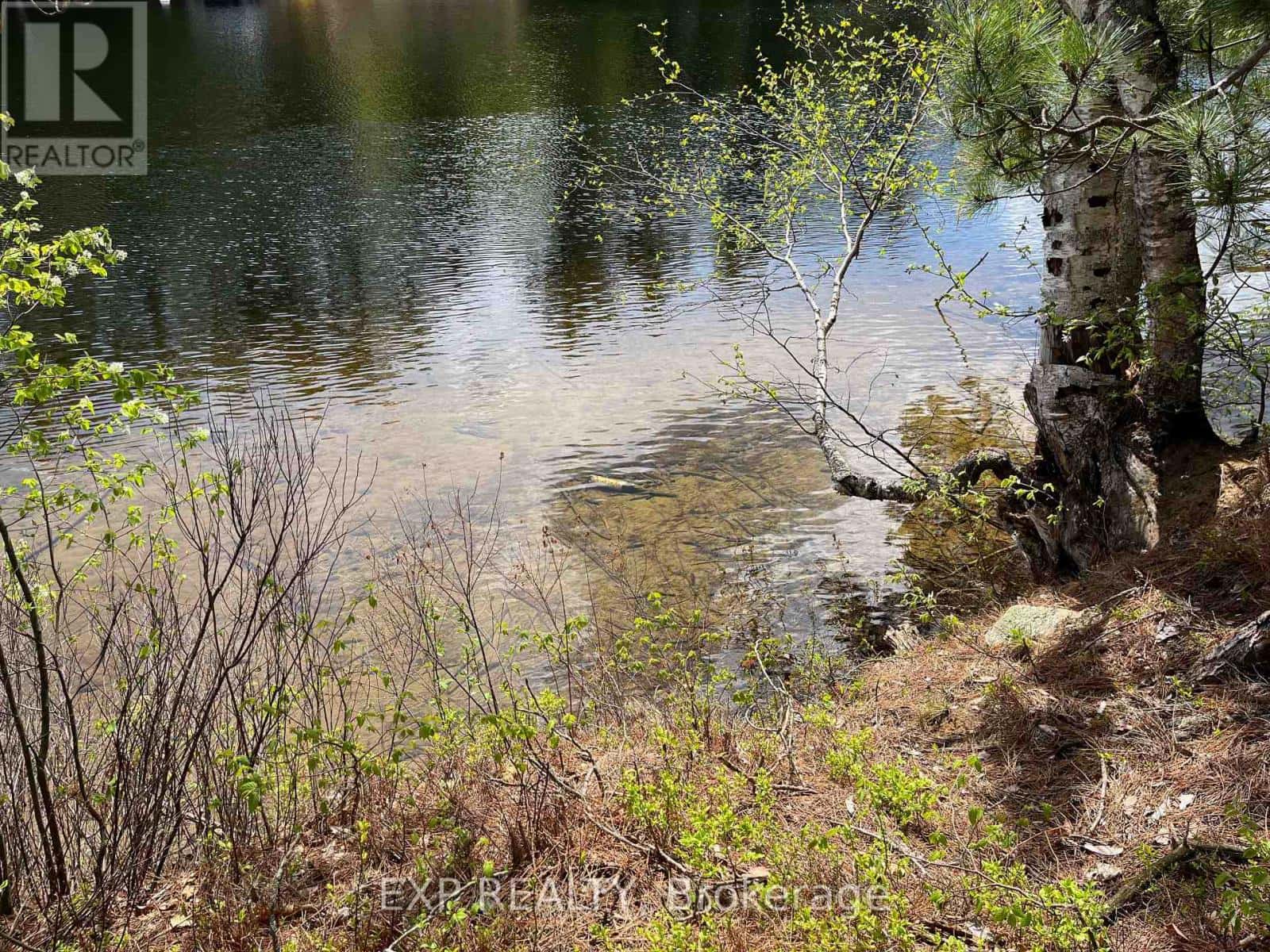 LOT 37 SANDY SHORES TRAIL — Madawaska Valley, Ontario - Photo 2 of 22