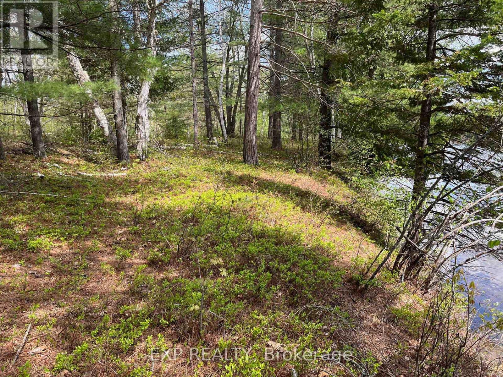 LOT 37 SANDY SHORES TRAIL — Madawaska Valley, Ontario - Photo 3 of 22