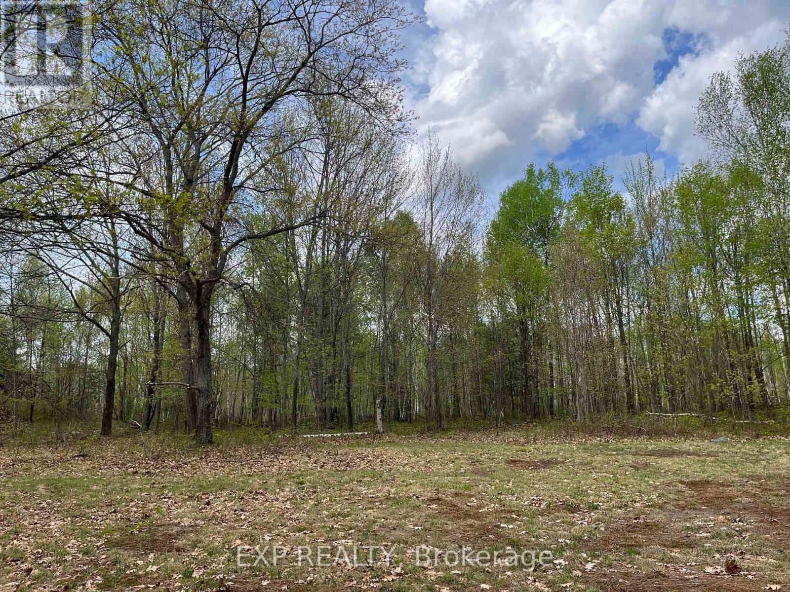 LOT 37 SANDY SHORES TRAIL — Madawaska Valley, Ontario - Photo 5 of 22