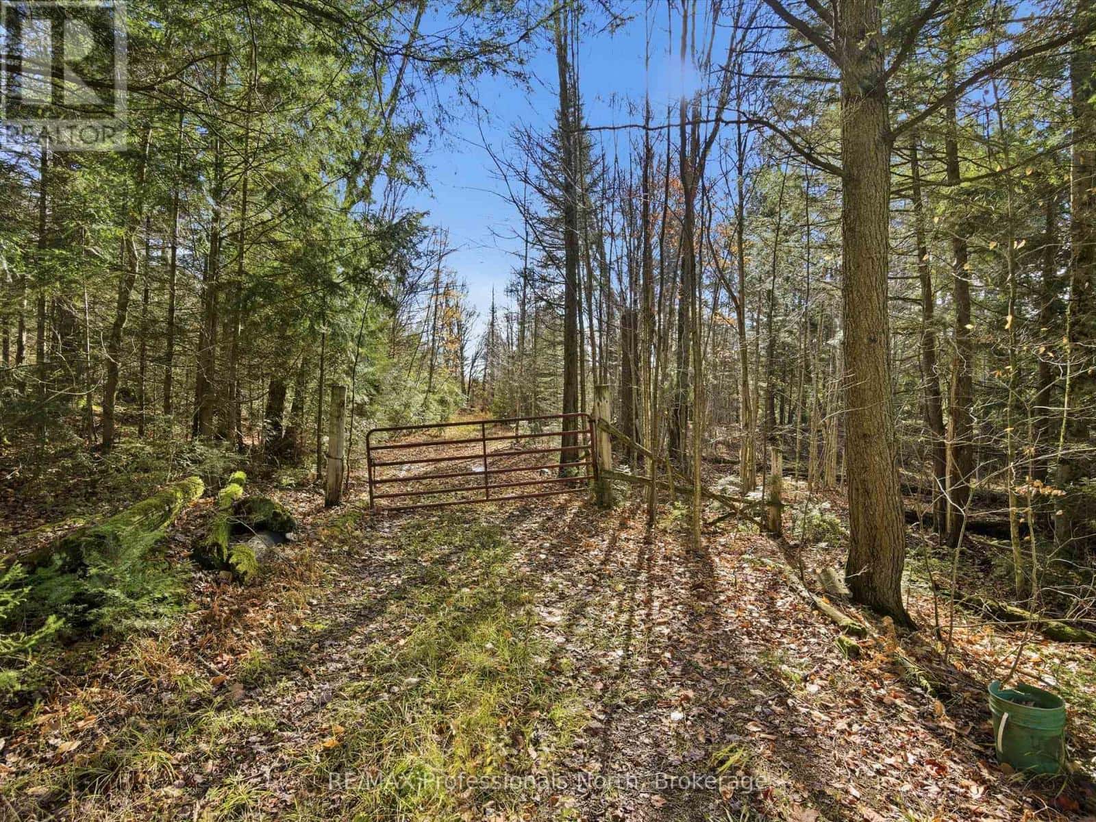 1087 STEPHENSON 2 ROAD W — Huntsville (Stephenson), Ontario - Photo 3 of 22