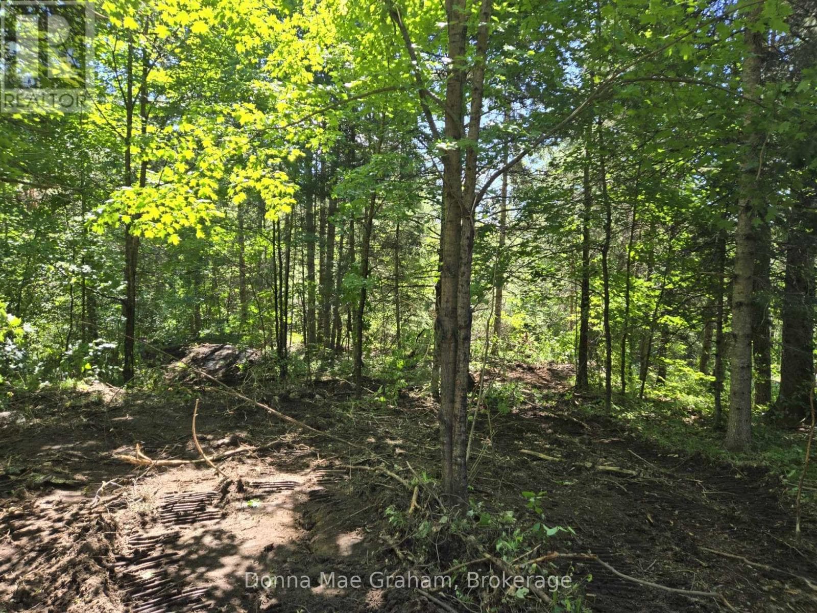 0 HWY 503 HIGHWAY E — Highlands East (Glamorgan), Ontario - Main photo