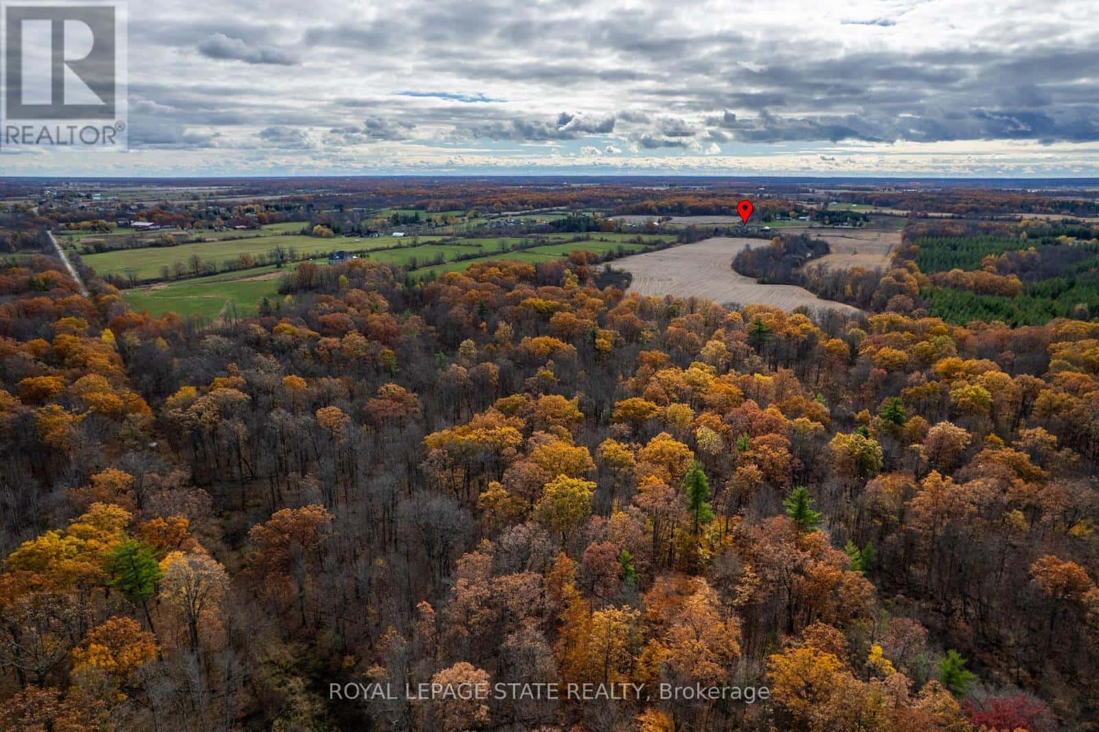 9729 YORK ROAD — West Lincoln (West Lincoln), Ontario - Photo 4 of 46