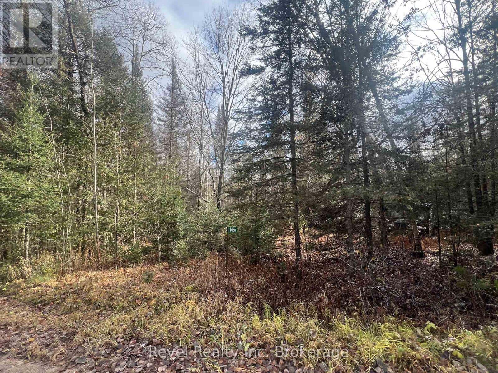 1436 RICHARD'S ROAD — Papineau-Cameron (Papineau Cameron), Ontario - Photo 4 of 13