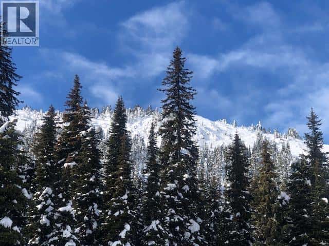 185 Snow Mountain Place — Apex Mountain, British Columbia - Photo 4 of 4